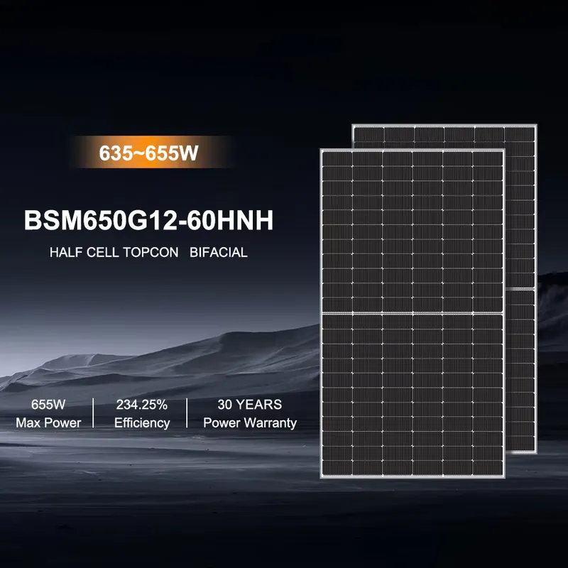 Panel słoneczny Bluesun typu N – Solar Panel recenzja i cena